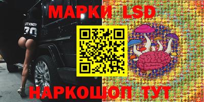 сатива Кандалакша