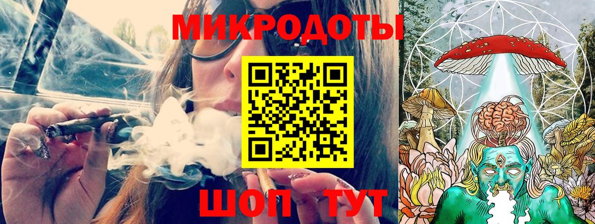 Псилоцибиновые грибы Cubensis Шахты