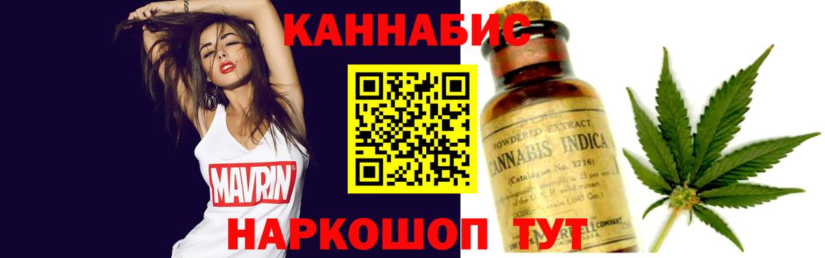 Каннабис сатива Шахты